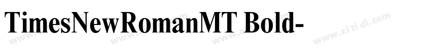 TimesNewRomanMT Bold字体转换